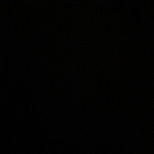 Meet your Posher, Ilana